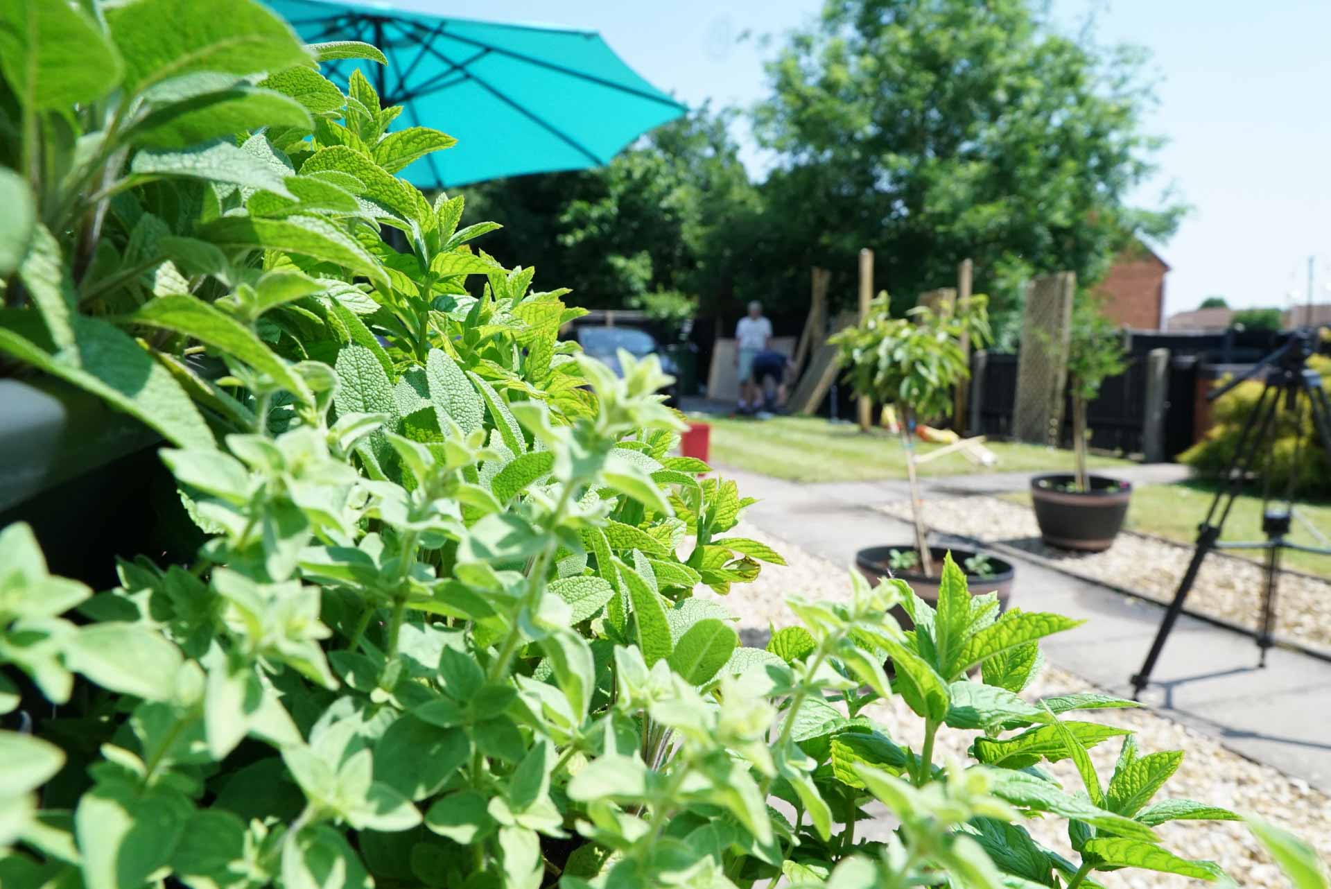 Volunteers Dig Deep to Transform Dudley Garden